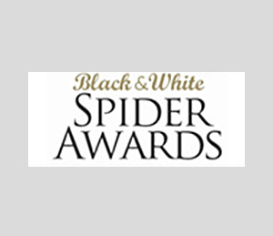 bekroonde fotograaf voor fijne naaktkunst en boudoirfotografie